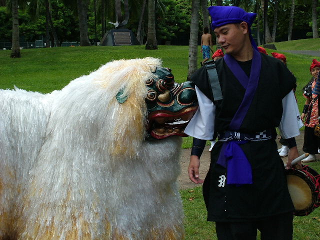 Festival Dog having fun