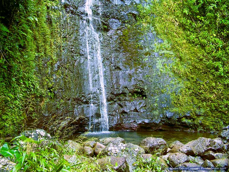 see above for download instructions