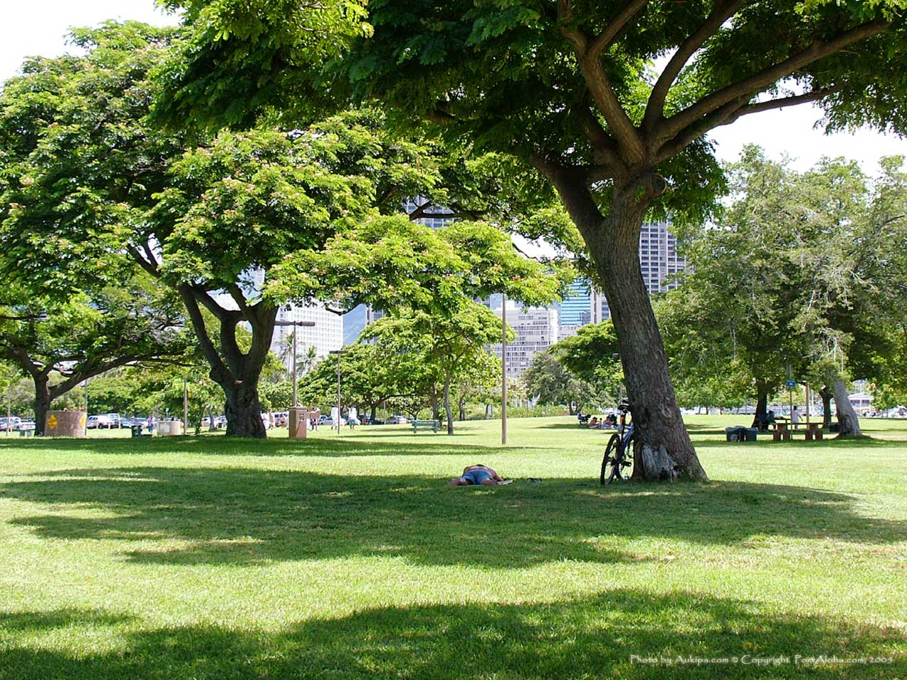 see above for download instructions