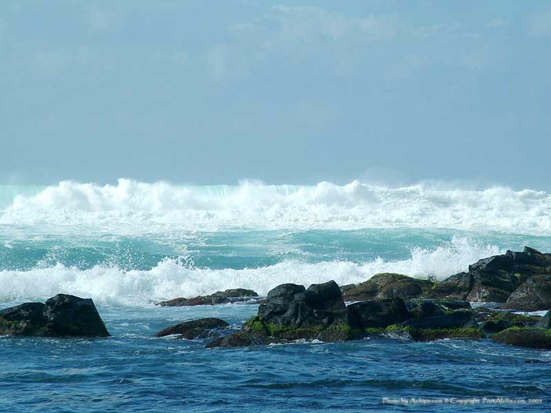 see above for download instructions